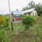 SDN Molong