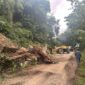 Kondisi terkini ruas jalan Ende Maumere tepatnya di desa Wolosambi kecamatan Lio Timur/Ket Foto : Whatsapp Group rakyatflores