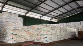 Beras Bulog Ende, stock tersedia 779 Ton untuk persiapan Ramadhan (Foto ; I.Like) 