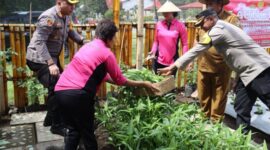 Kapolres Ende dan ibu - ibu Bhayangkari panen tanaman di pekarangan 
