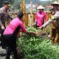Kapolres Ende dan ibu - ibu Bhayangkari panen tanaman di pekarangan 