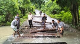 Warga bergotong royong bangun jembatan darurat dari barang pohon kelapa