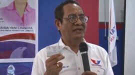 Karolus Karni Lando, Wakil Koordinator Wilayah Partai Perindo Bali-Nusa Tenggara