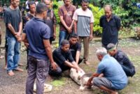 Ritual adat Bersih Kampung di Amagarapati